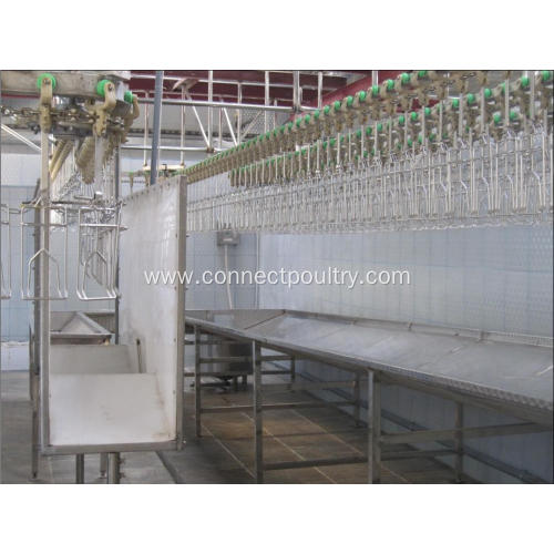 Poultry processing equipment bleeding trough